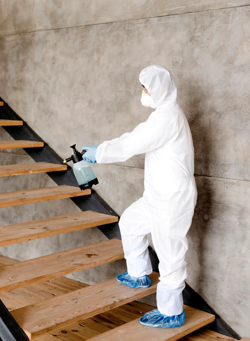 enlever nid de frelons asiatiques